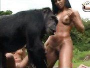Spider reccomend Nude girls with monkey xxx pic