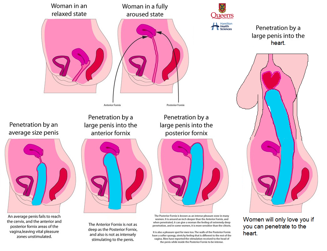 Penetration porn cervix Cervix Penetration