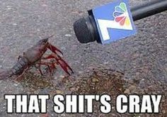 best of Crawfish pics Funny