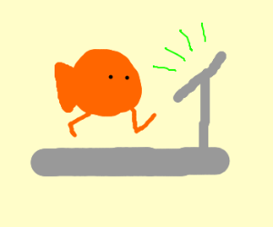 Fish on a treadmill