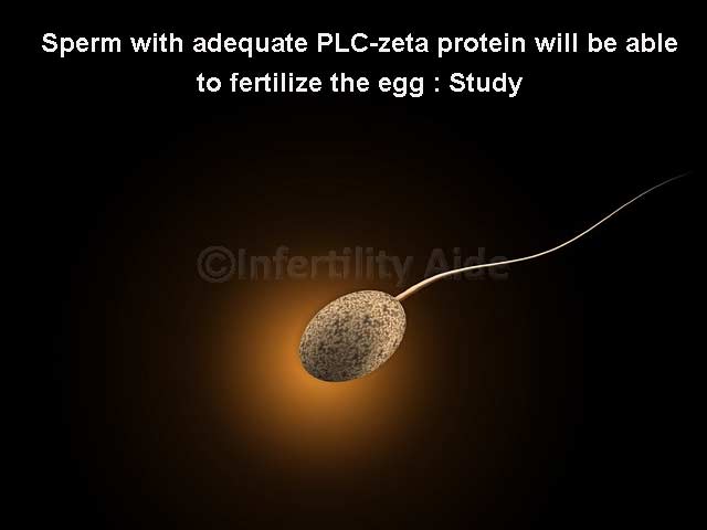 Is sperm nutritious