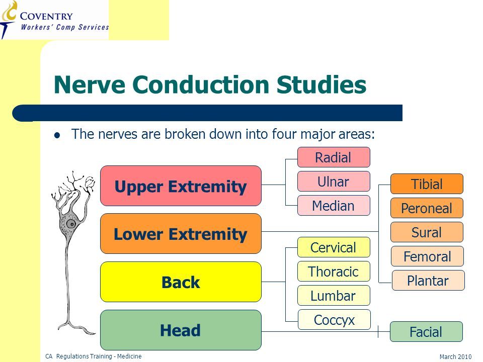 Neptune reccomend Nerve conductive studies facial