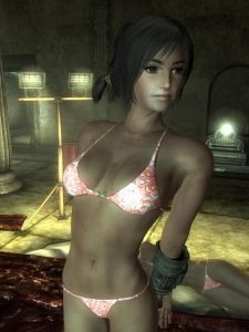 Fallout 3 porn mod