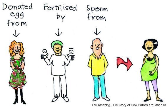 Egg sperm donor