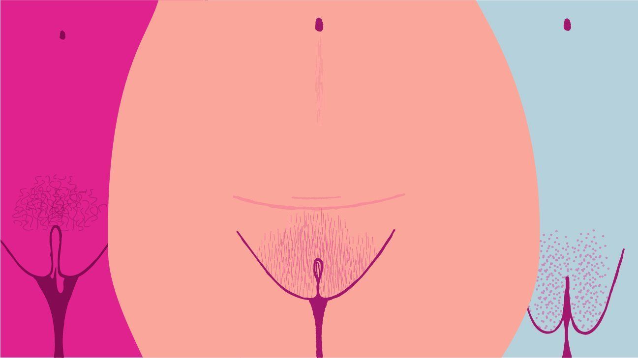A fat vagina