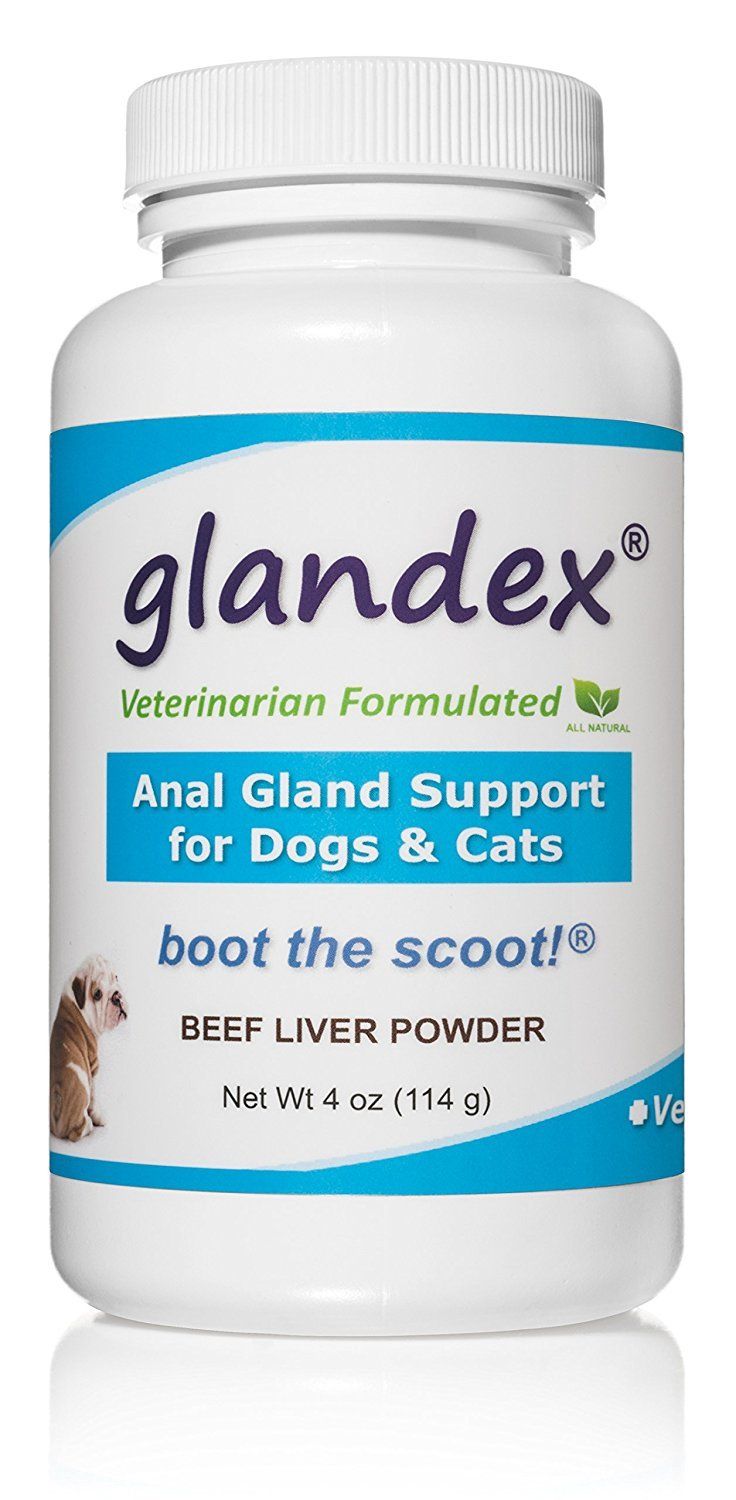 Cat anal glands high fiber