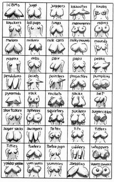 Many types of pussy