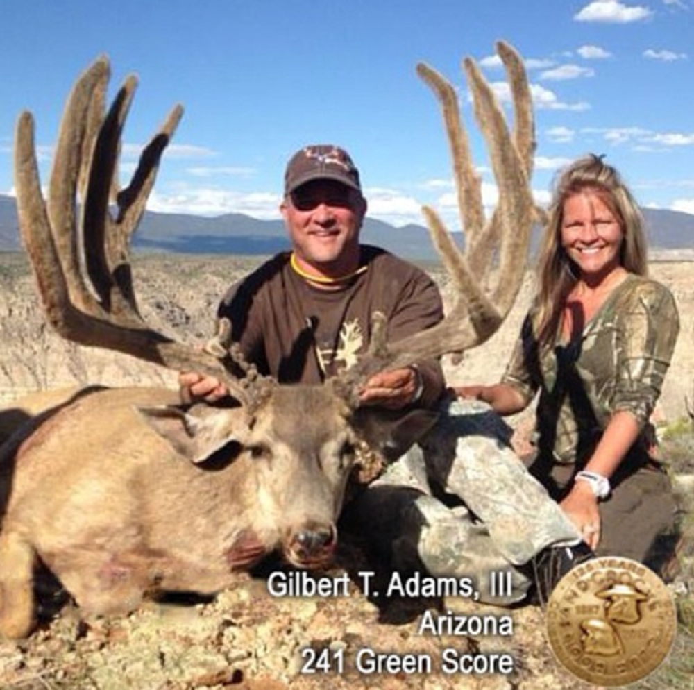 best of Strip hunt Arizona deer