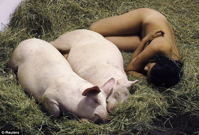 Man having sex with pig - Naked photo.
