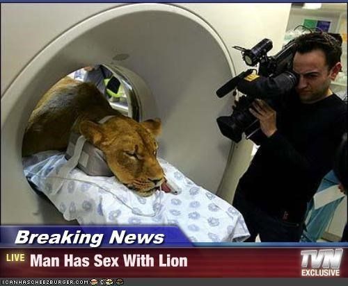 Man and lion have sex