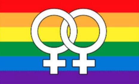Gay lesbian flag