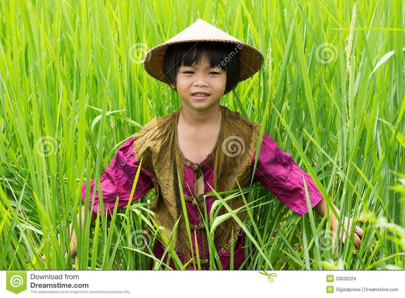 Asian rice patty