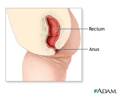 Jet S. reccomend Small lumps inside anus