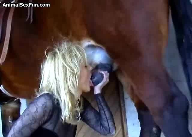 Hot blonde sucks cock whilst cuming