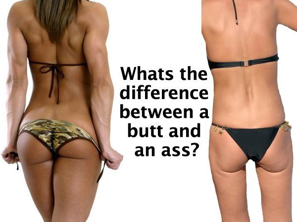 Ass bum butt