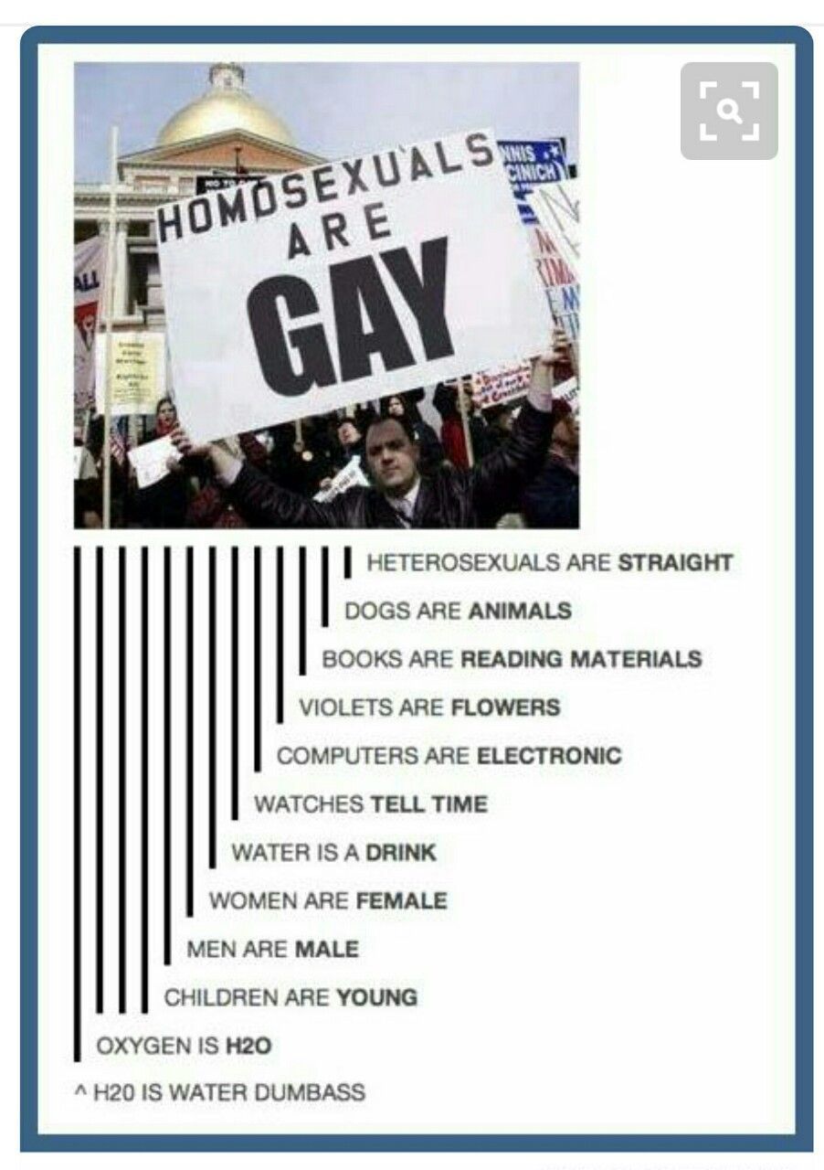 Gay homosexuals