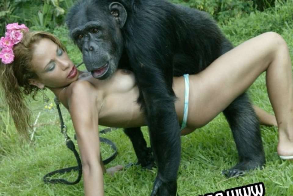Fat Monkey Sperm Porn - Girl fucking monkey pic xxx . Porno photo.
