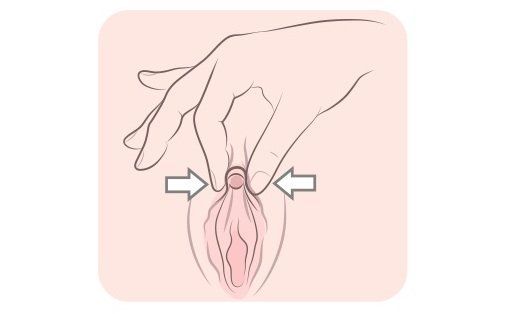Pretty S. reccomend Female clitoris techniques