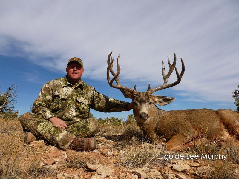 Arizona strip deer hunt