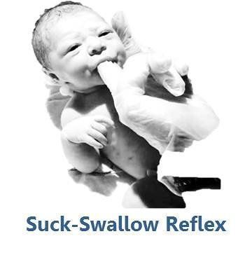 Kicks reccomend Suck and swallow reflexes