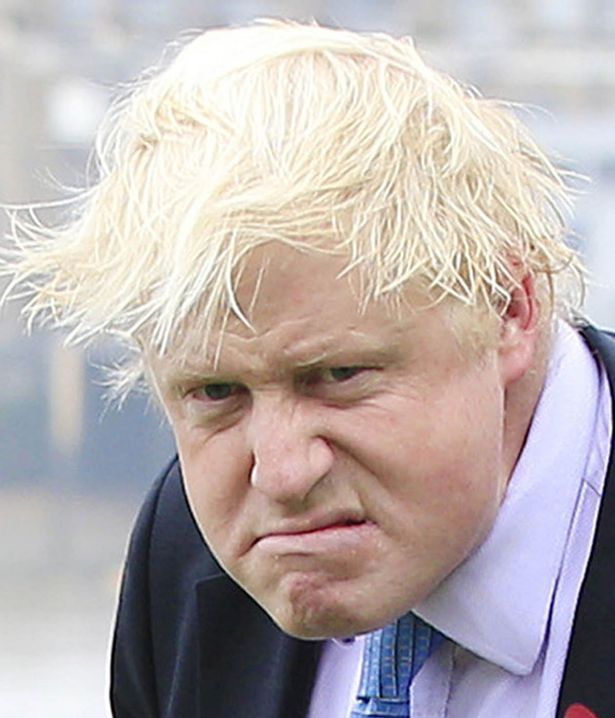 Smoke reccomend Boris johnson hair jokes