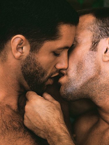 best of Hairy kissing Gay