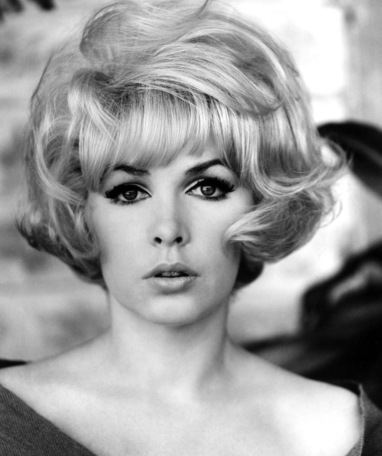 Search For More Stella Stevens Pictures