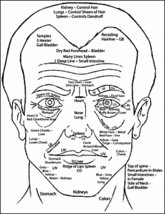 Chinese medicine facial diagnosis