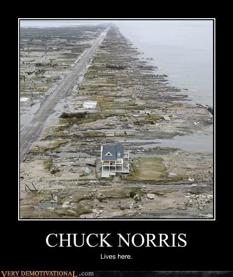 Chuck norris suck