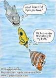 Fishing pick up lines