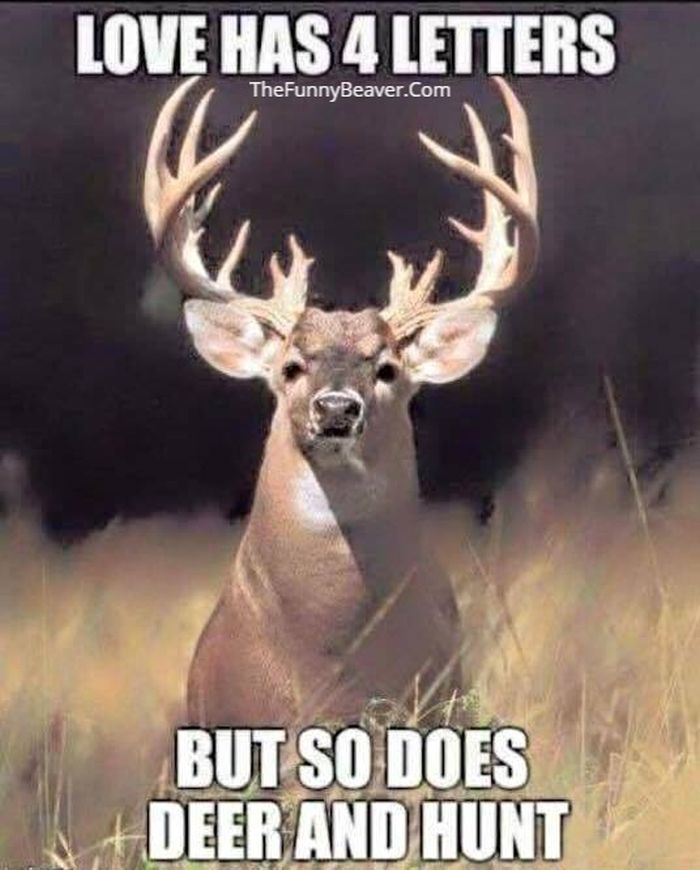 best of Hunter deer My fucking