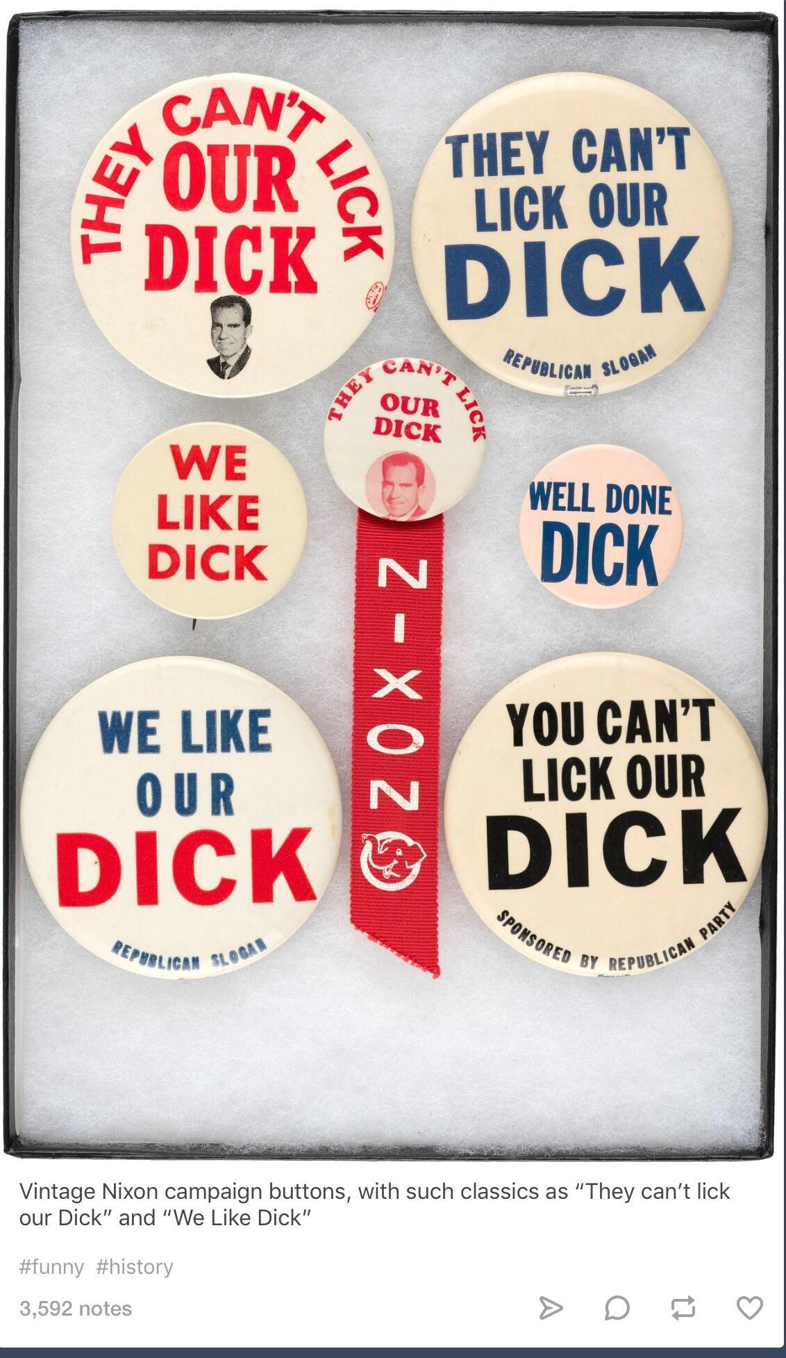 Dick funny political slogan