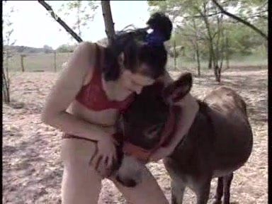 Donkey girls sex