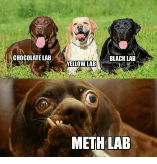 Snicky S. reccomend How to identify a meth lab joke