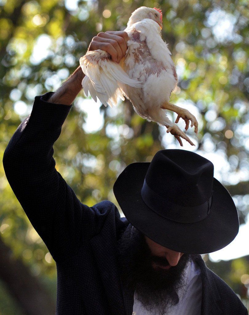 Hazy reccomend Jewish tradition swinging a chicken