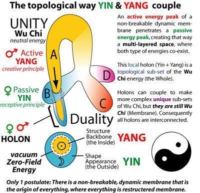 Am i yin or yang