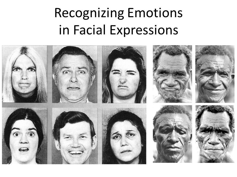 Bomber reccomend Emotion and facial