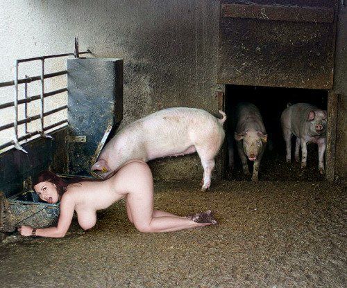 bondage pig wife tube