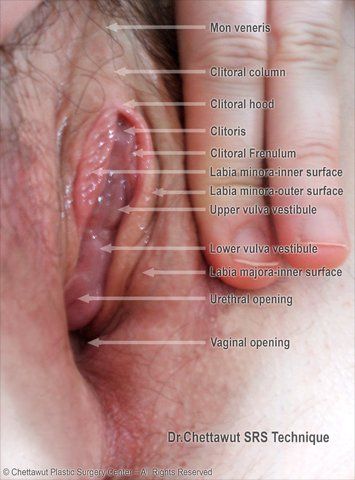 Female clitoris techniques