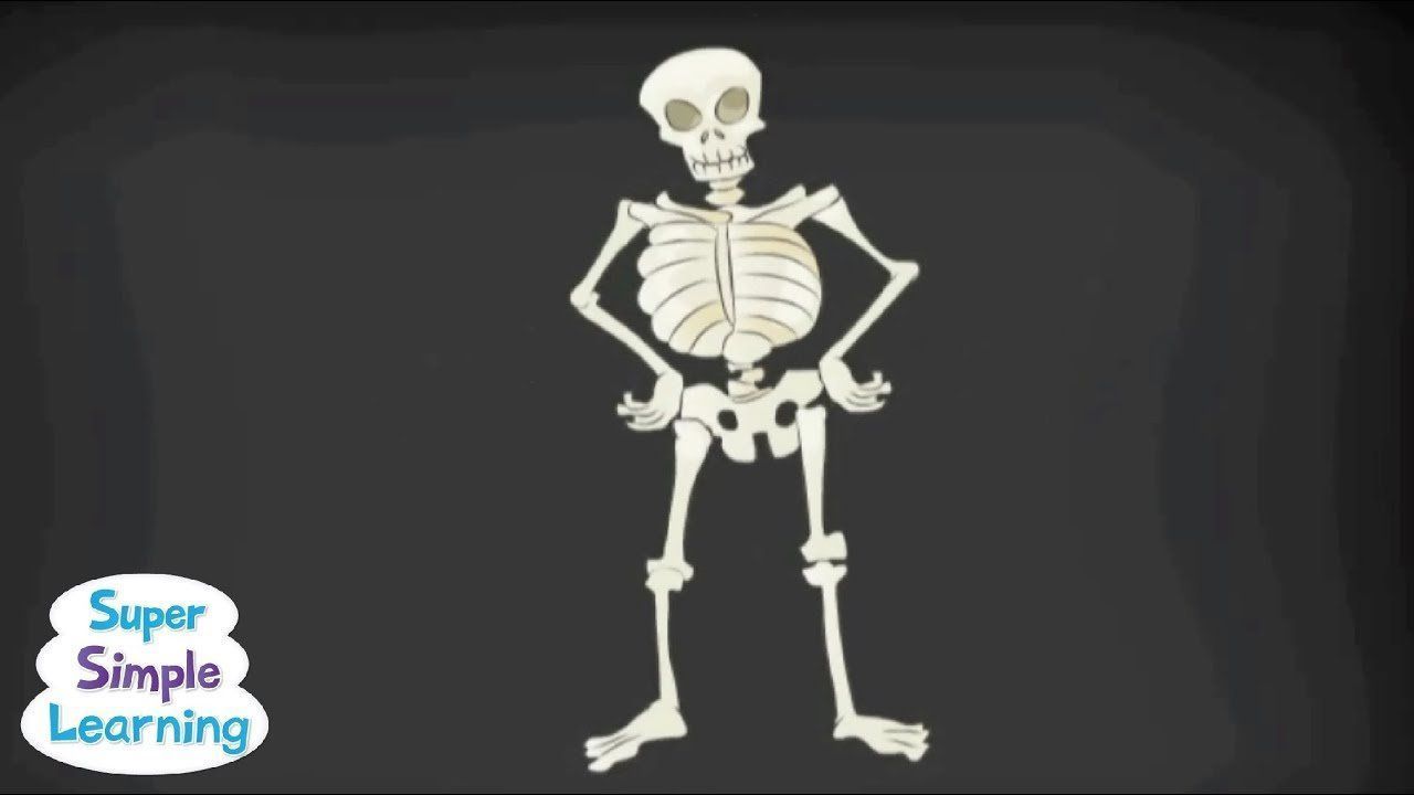 Funny bones cartoon song