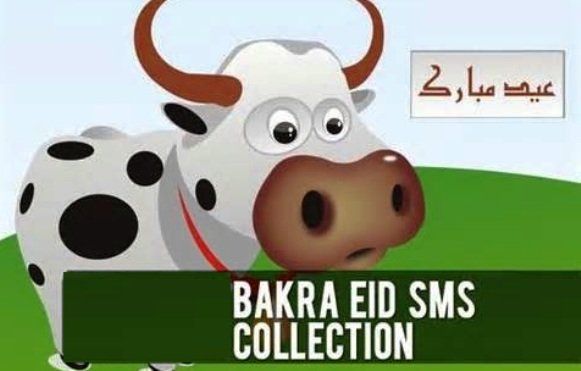best of Eid messages text Funny mubarak