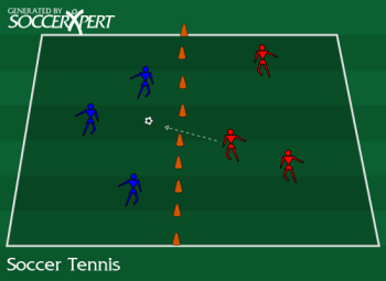 Susie Q. reccomend How to play soccer tennis