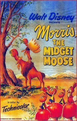 Midget moose morris