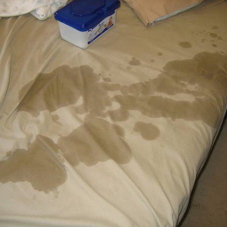 LB reccomend Piss in bed