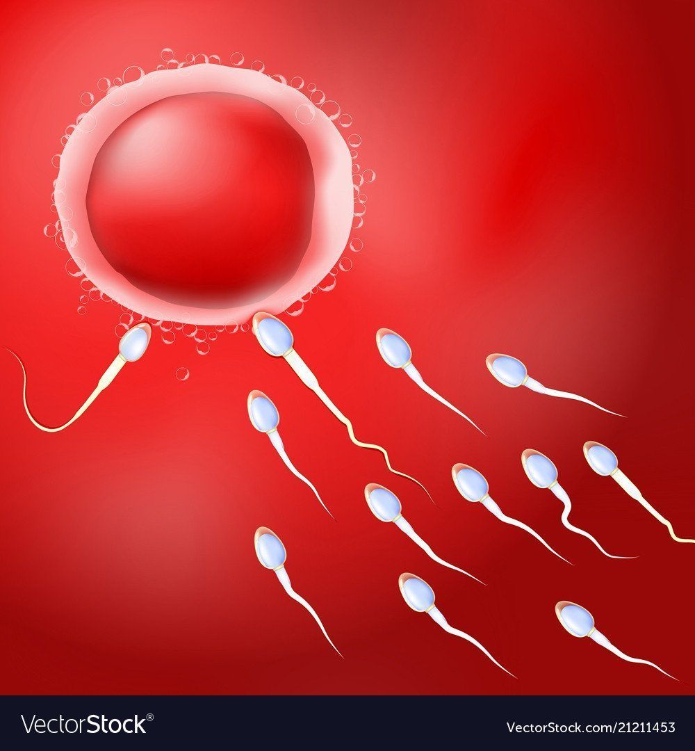 Red in sperm