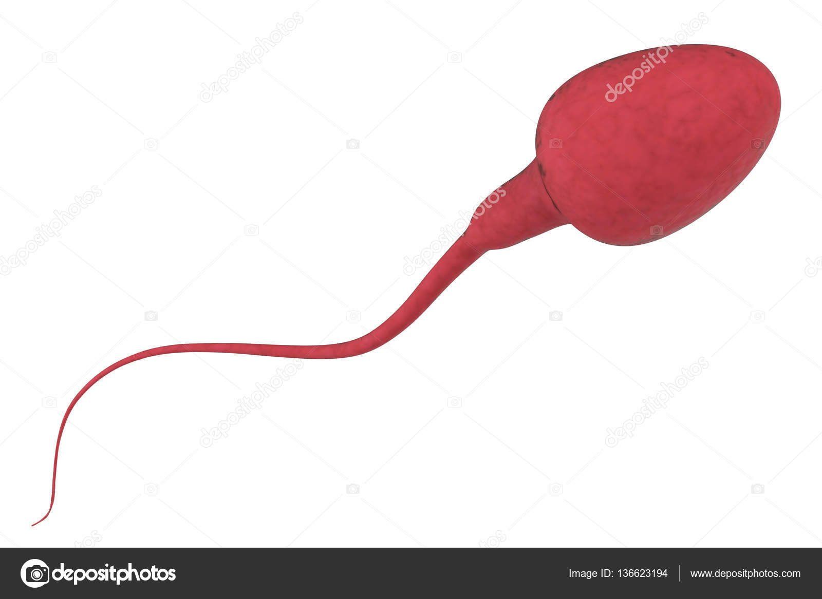 Vanilla B. reccomend Red in sperm