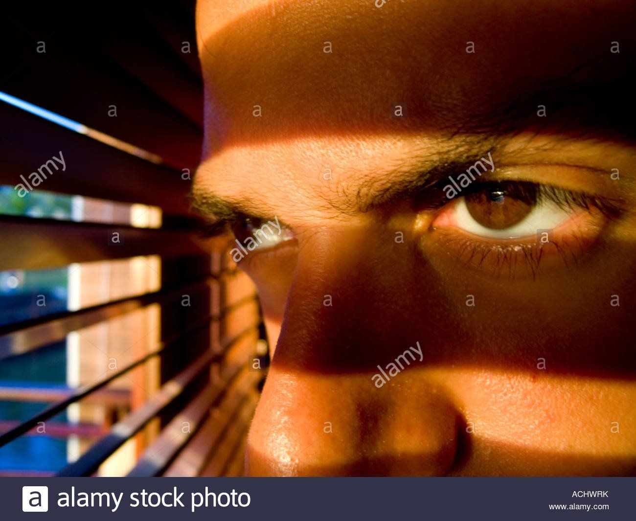 See through blinds voyeurism